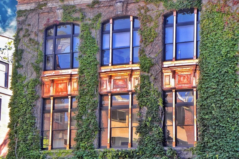 University of Sydney
