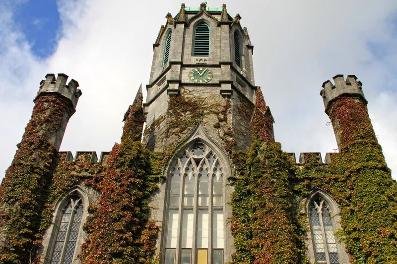 Near East University