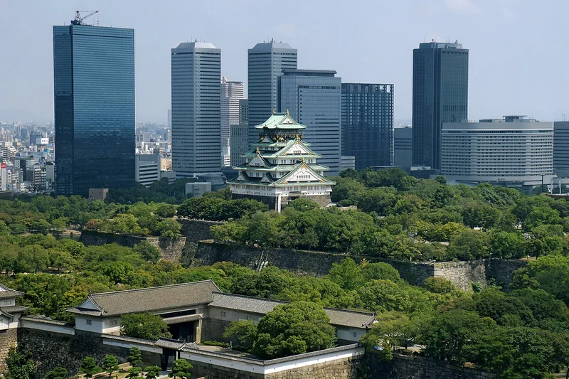 Osaka University
