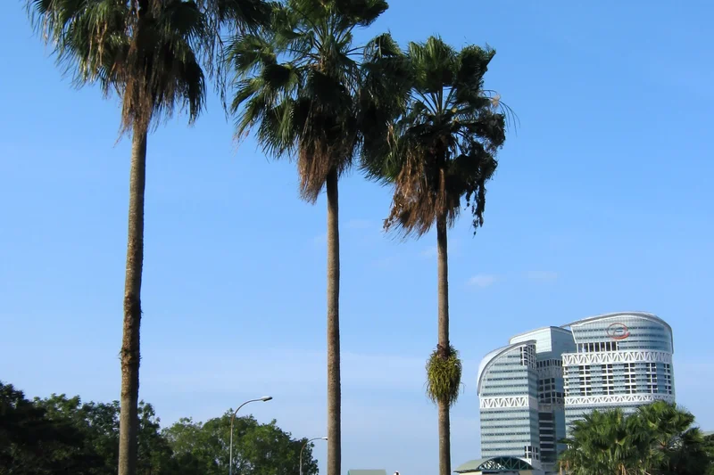 ESSEC Business School Asia-Pacific