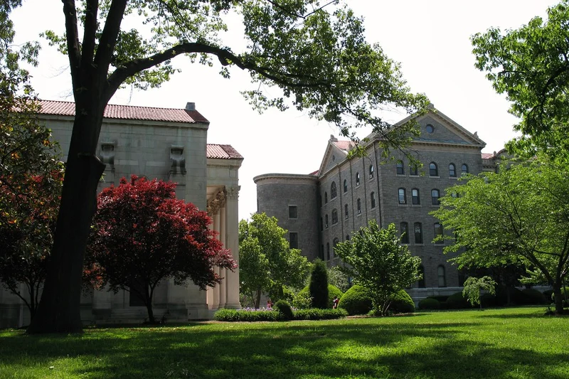 Harvard University